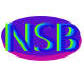 NSB Computers Logo